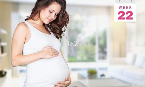 怀孕六个月还能打掉孩子吗-怀孕六个月右肋有点疼网- 怀孕六个月宝宝有多大图片知识,分享怀孕六个月引产需要多少钱