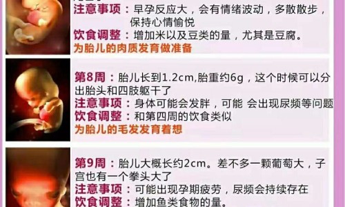 怀孕六个月右肋有点疼网- 怀孕六个月宝宝有多大图片知识,分享怀孕六个月引产需要多少钱